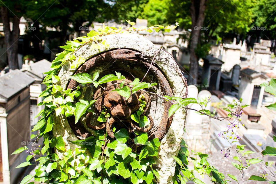 Montmartre cemetry, paris,france