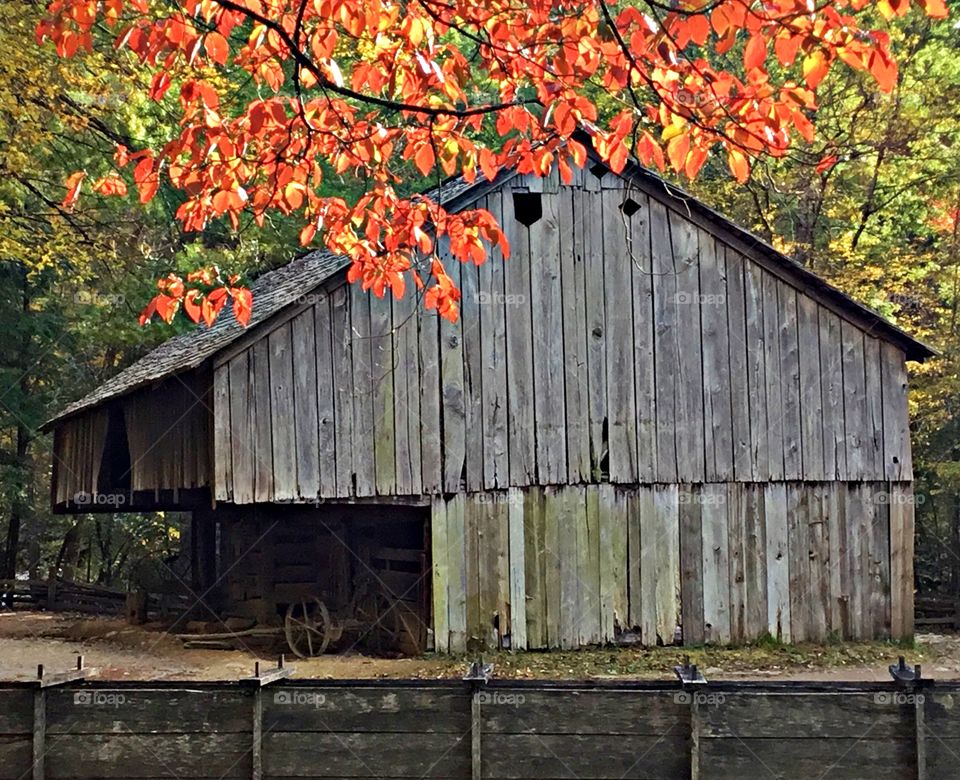 It’s Autumn time! Vintage gray barn sitting idol among the colorful autumn foliage 