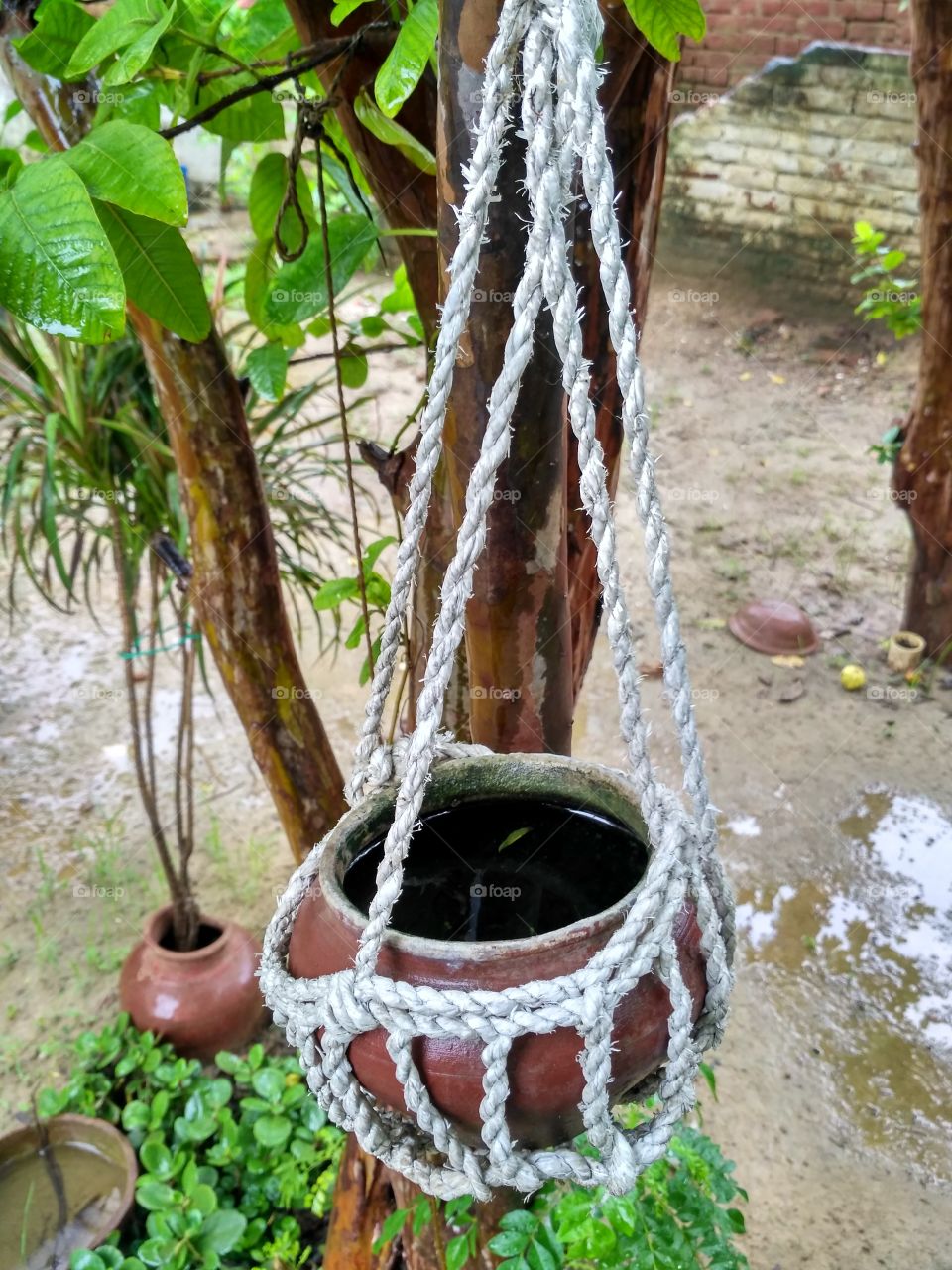 pot for thirsty birds