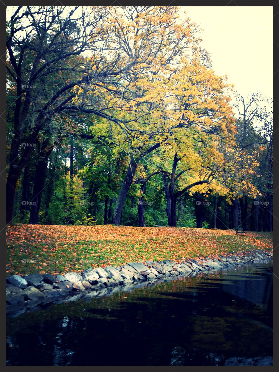stockholm leaves water autumn by fatmen1