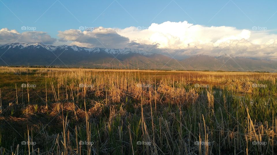 Wasatch Mountain View from the Bird Refuge