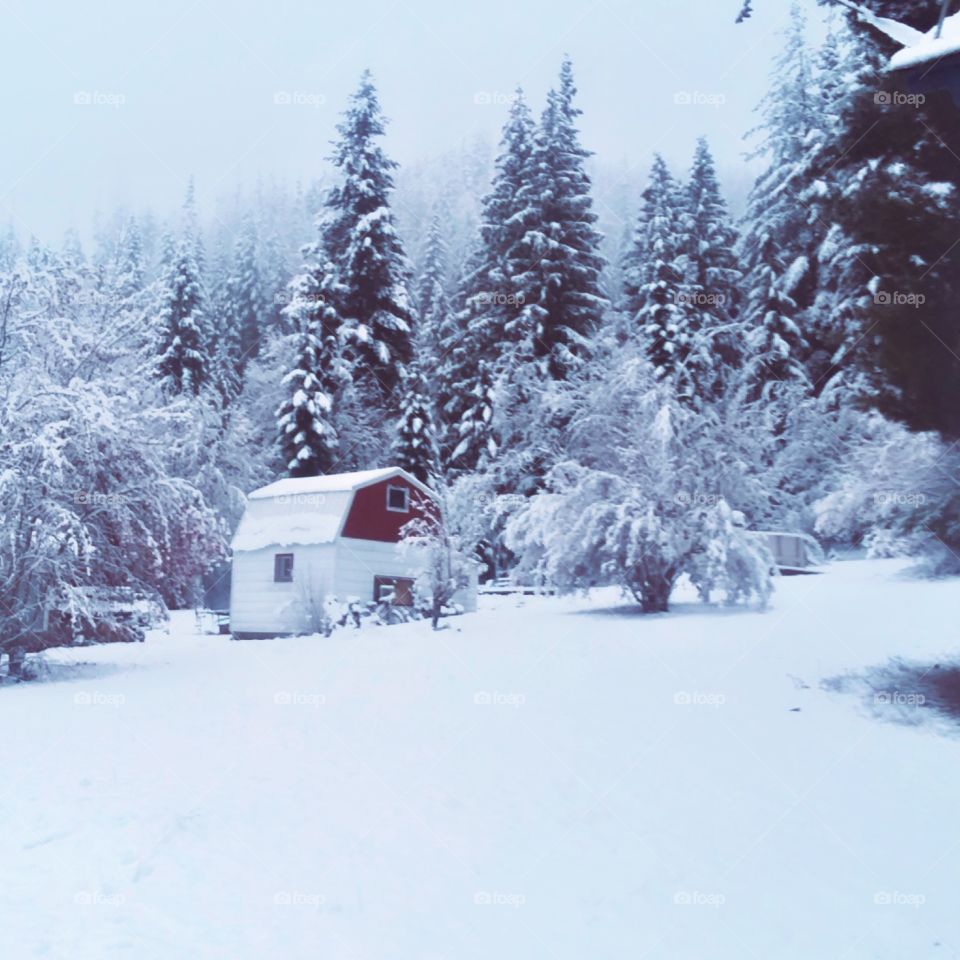 North Idaho Winter Wonderland.