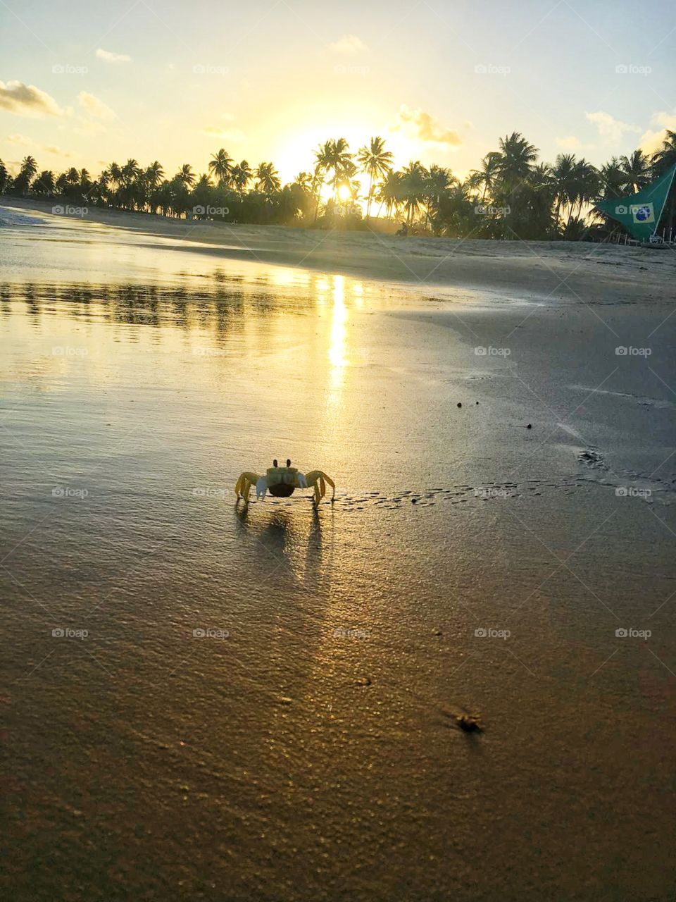watching this amazing sunset with my new friend, little crab  (Instagram: @cecon.angelo)