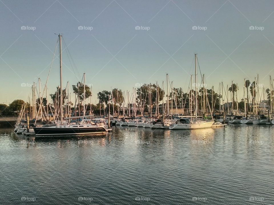 Sailboats in Harbour