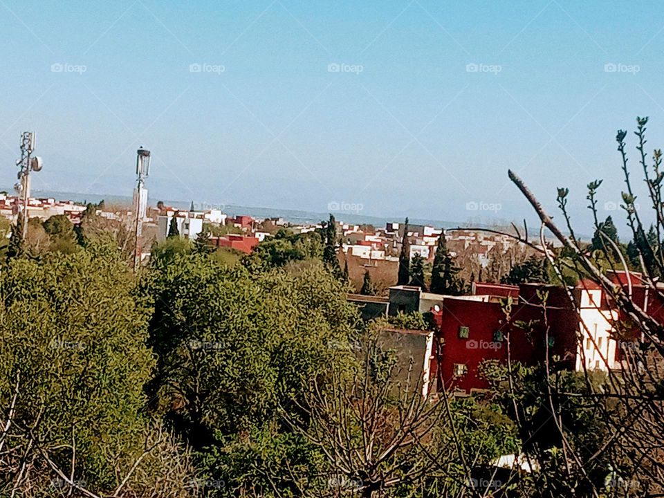 Inhabitants surrounded by greenery