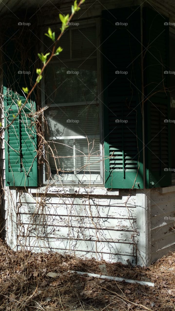 abandoned house window