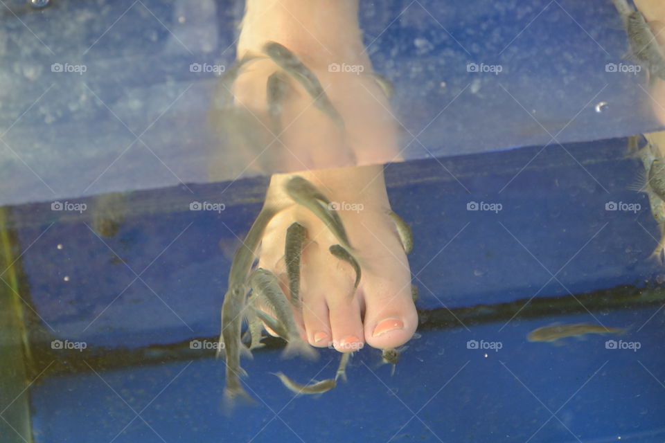 fish pedicure