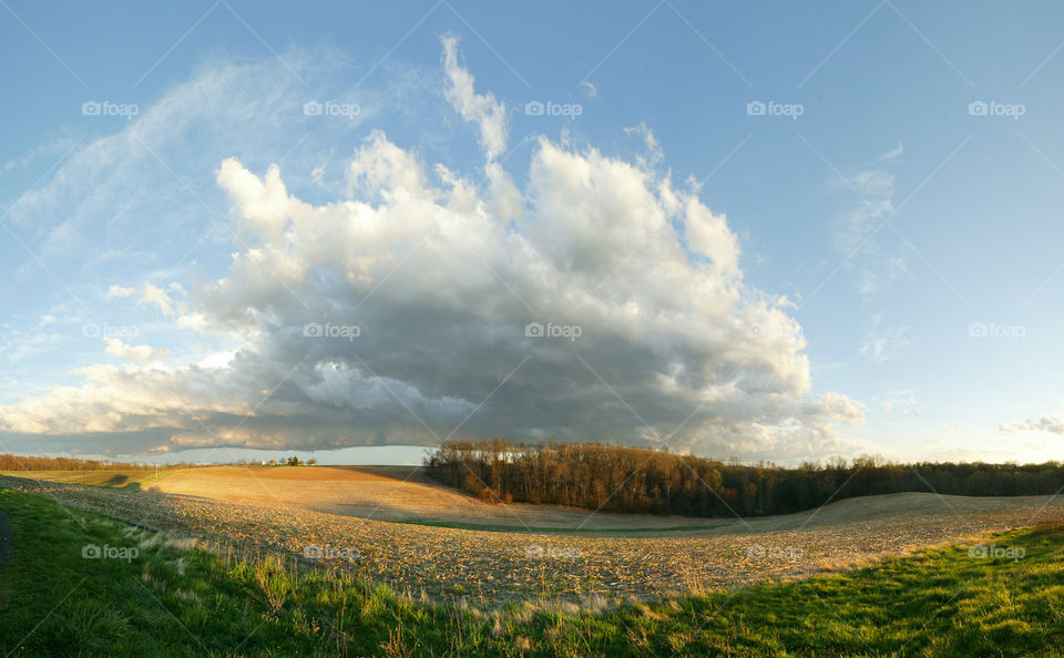 panoramic farm field with cumulus clouds and trees
