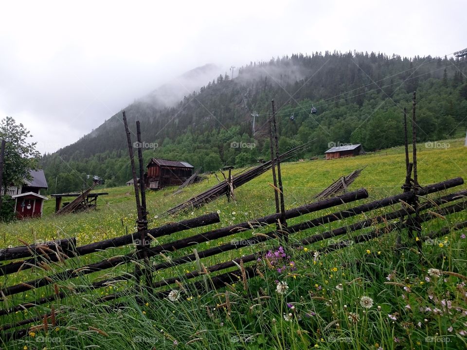 Meadow in mist. Swedish meadow in mist
