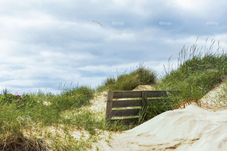 Tylösand beach outside Halmstad in Sweden.