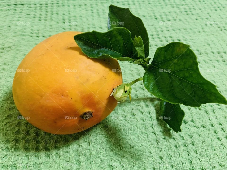 Mango is not just  an ordinary fruit it is extraordinary.