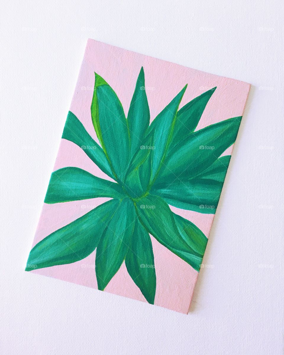 Succulent painting 
