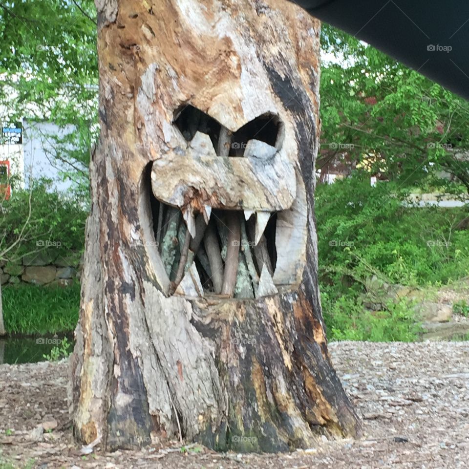 Evil Tree