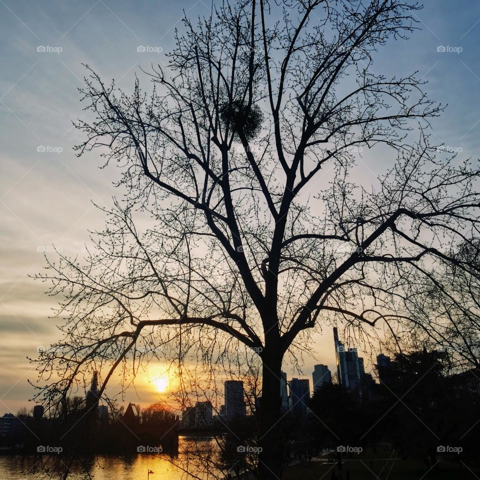 Sunset Skyline Frankfurt/Main