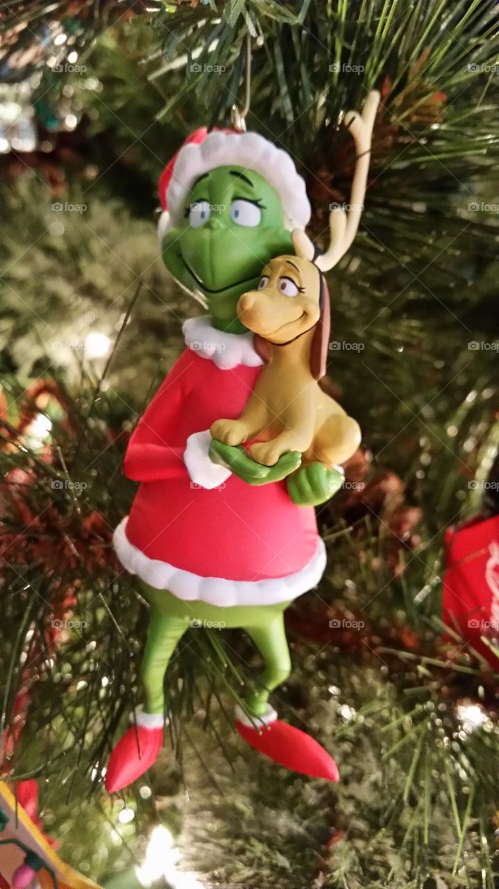 The Grinch and Max. The Grinch and Max 