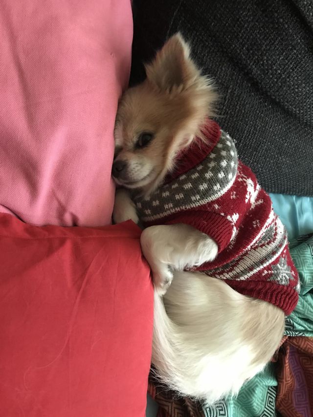 Sleepy Time