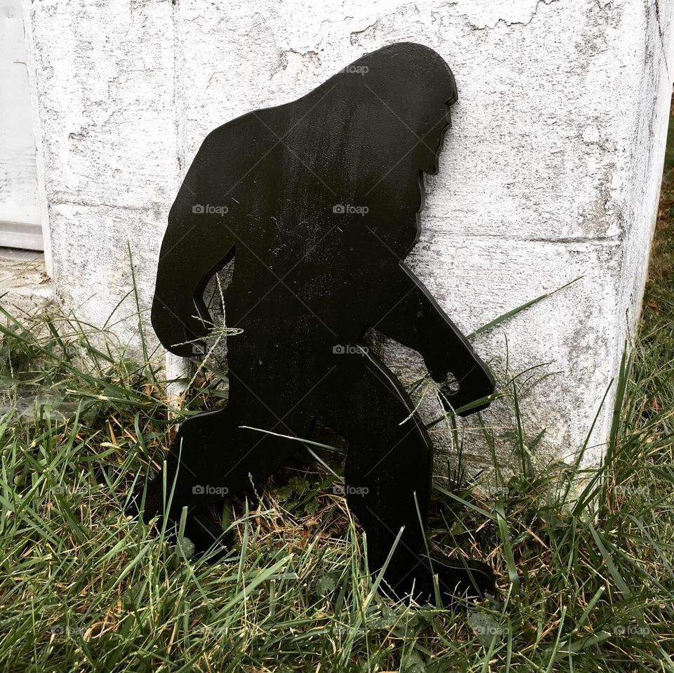 Not a whole lot fascinates me more than a cryptid does. Bigfoot is probably the most popular. 