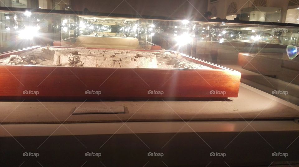 instructor  of meseum