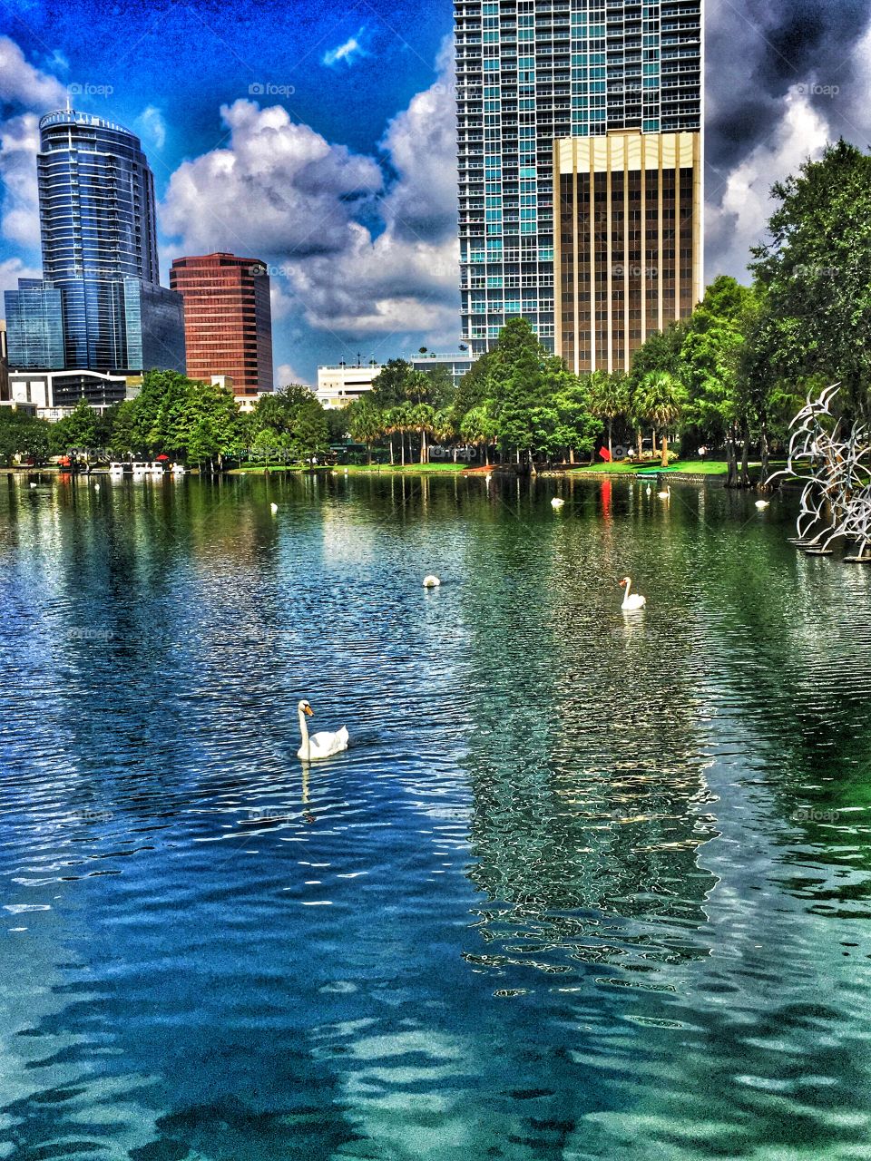 Swan Lake. A lake with a city in the background 