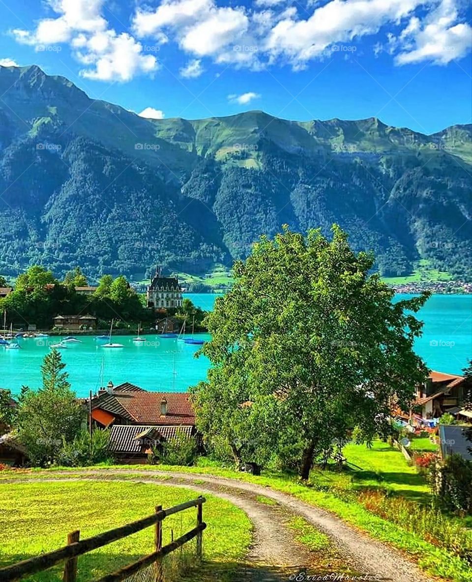 Glory be to God, the magnificent and picturesque view and the natural green trees are a view that is nothing more wonderful than it