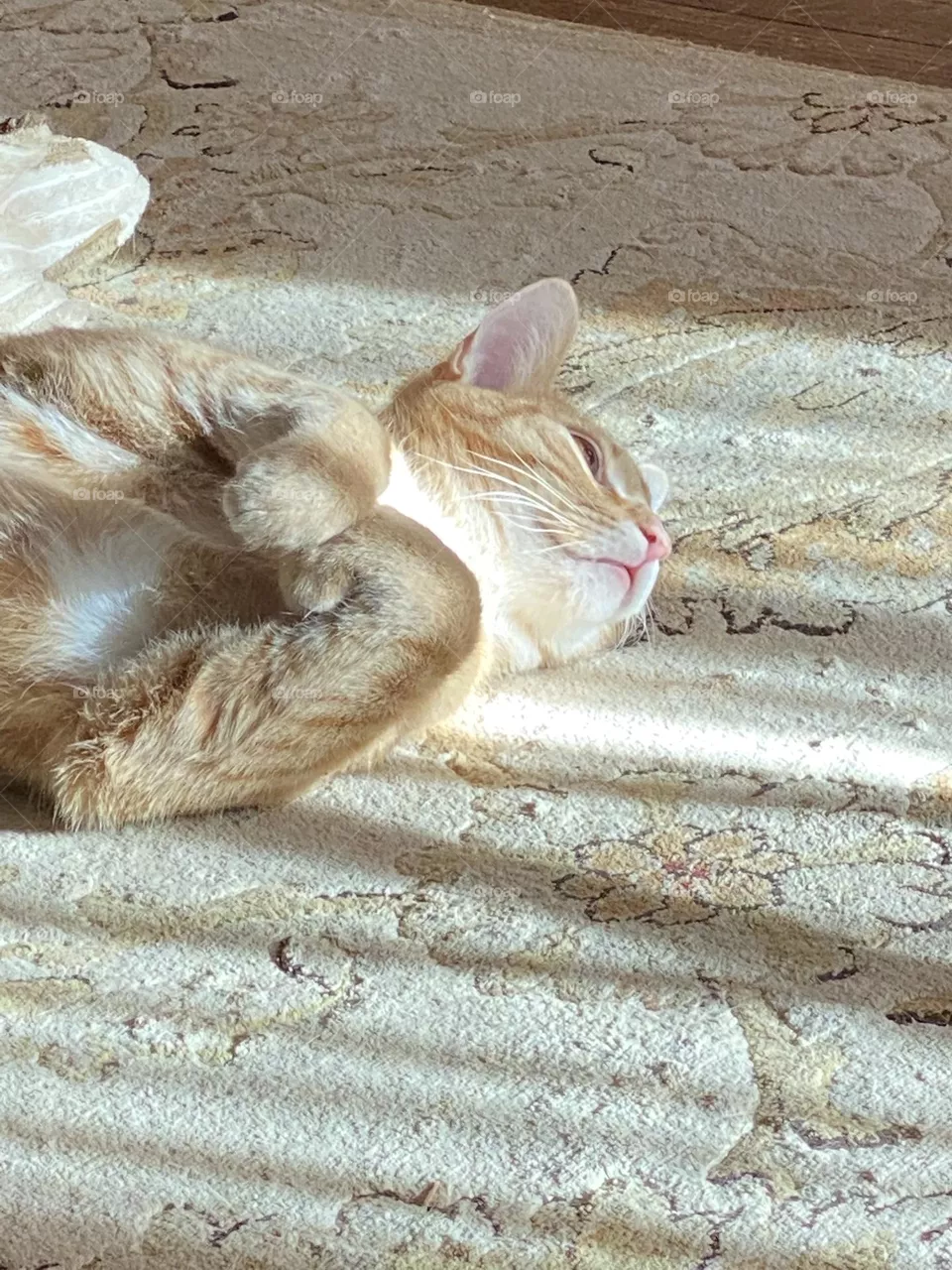 Soaking up the sun