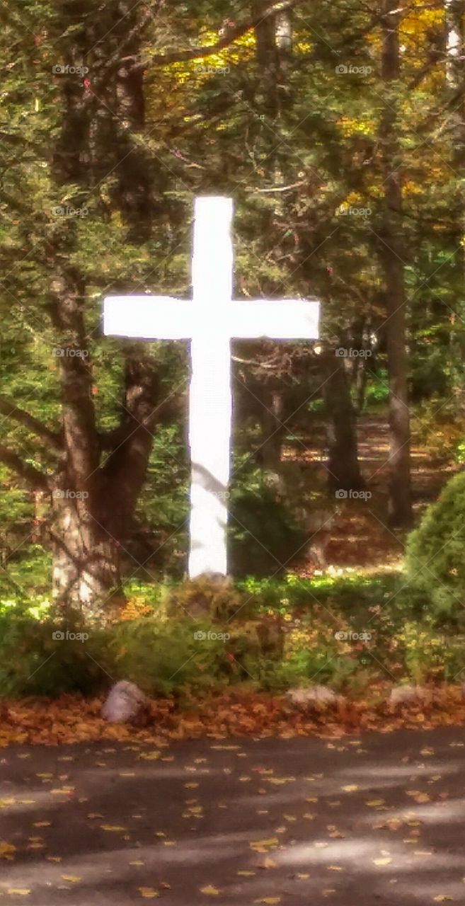 Glowing cross in the woods. saw this cross at a shrine in Litchfield.