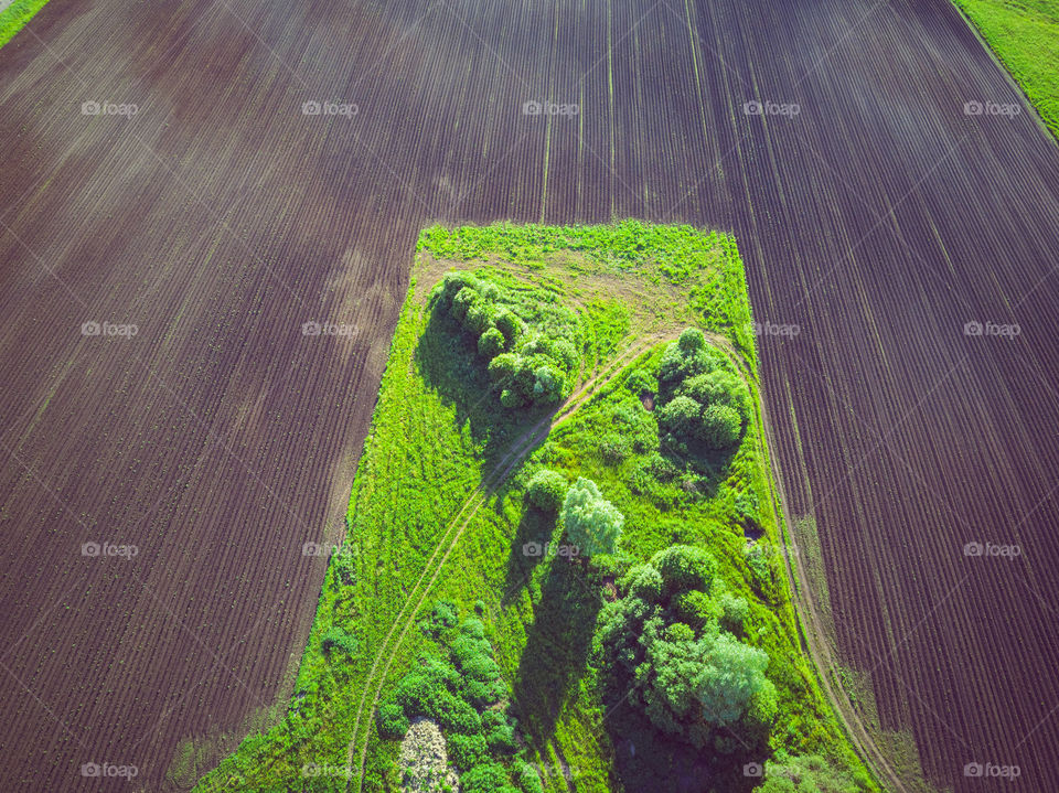 Aerial view of field