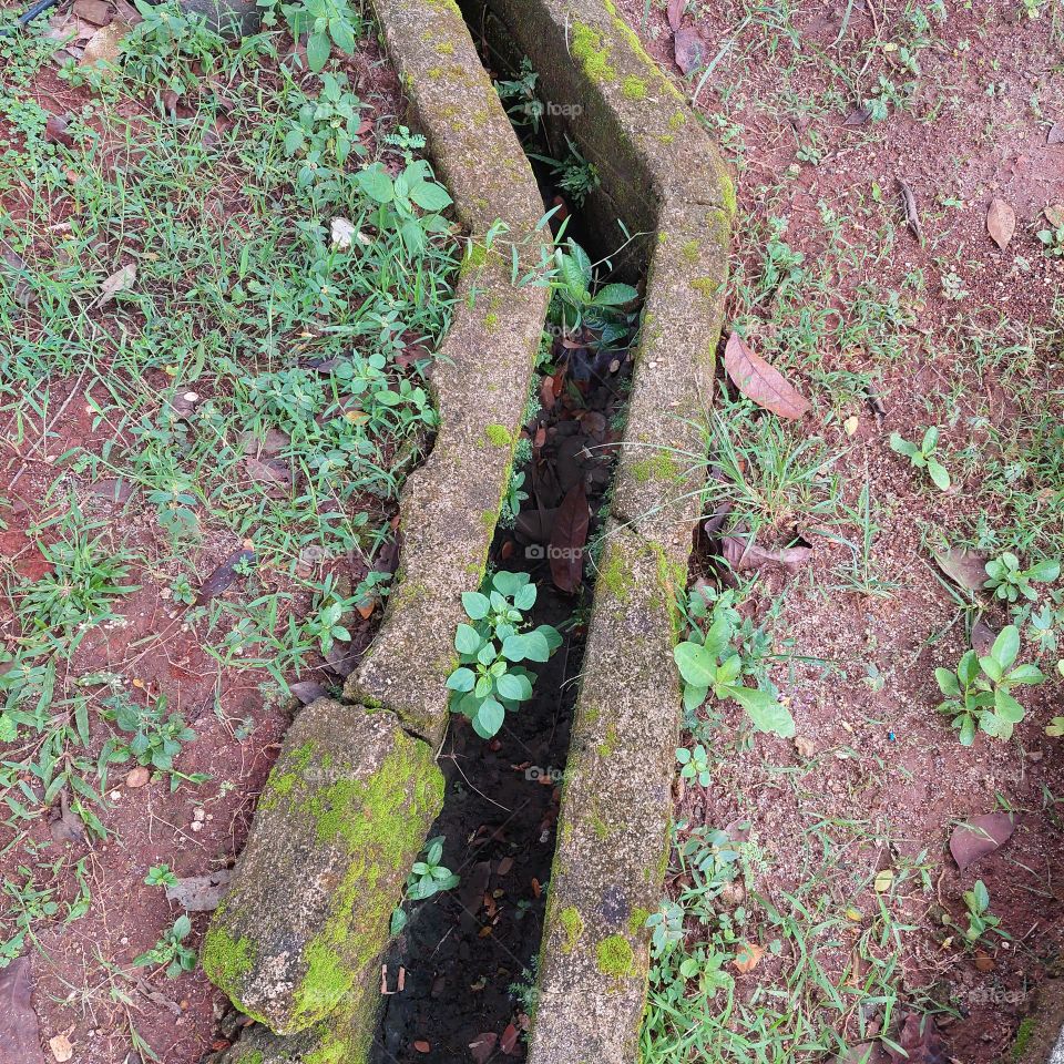 path in the park for water flow