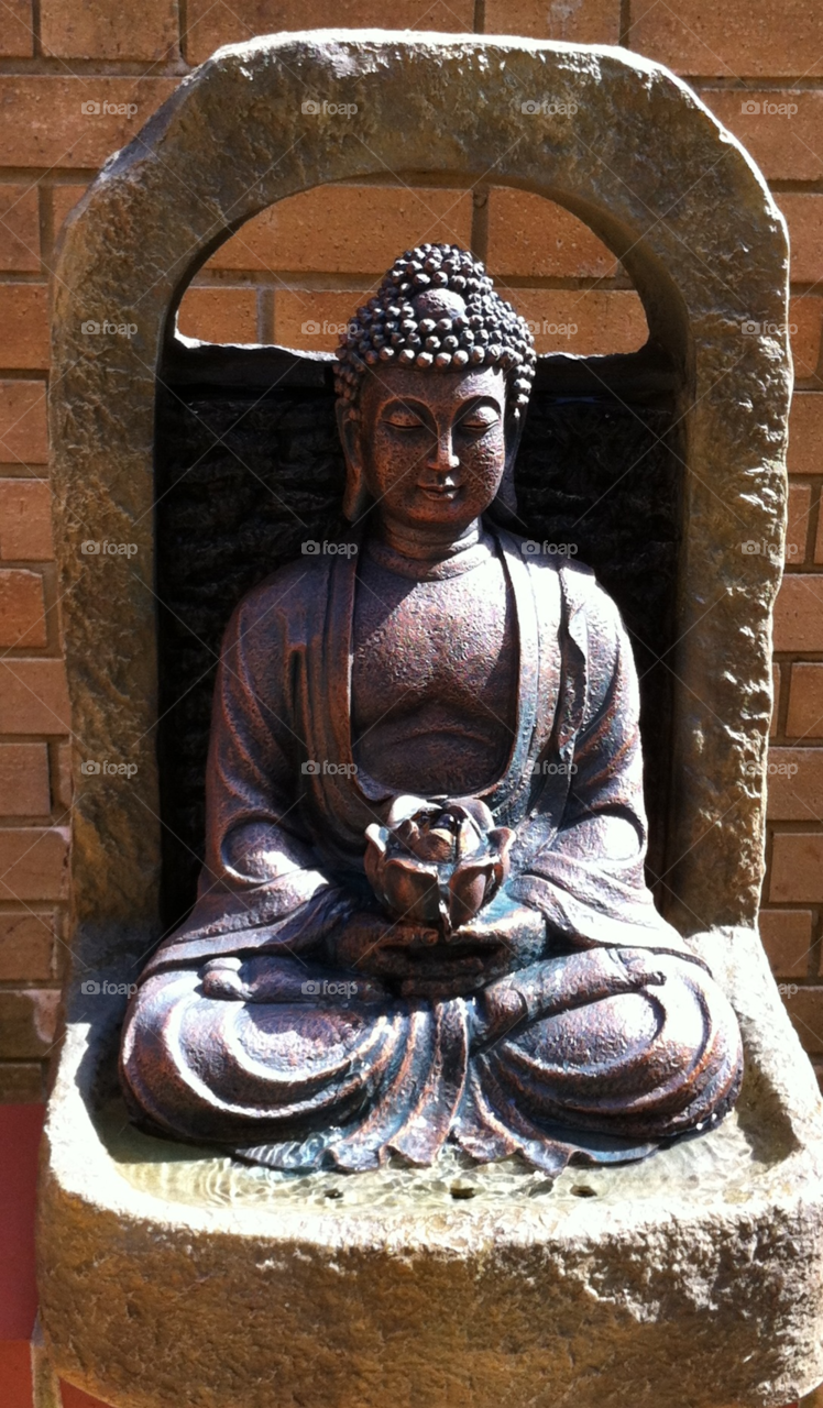 bhudda sitting peacefully with a lotus flower london uk by petal
