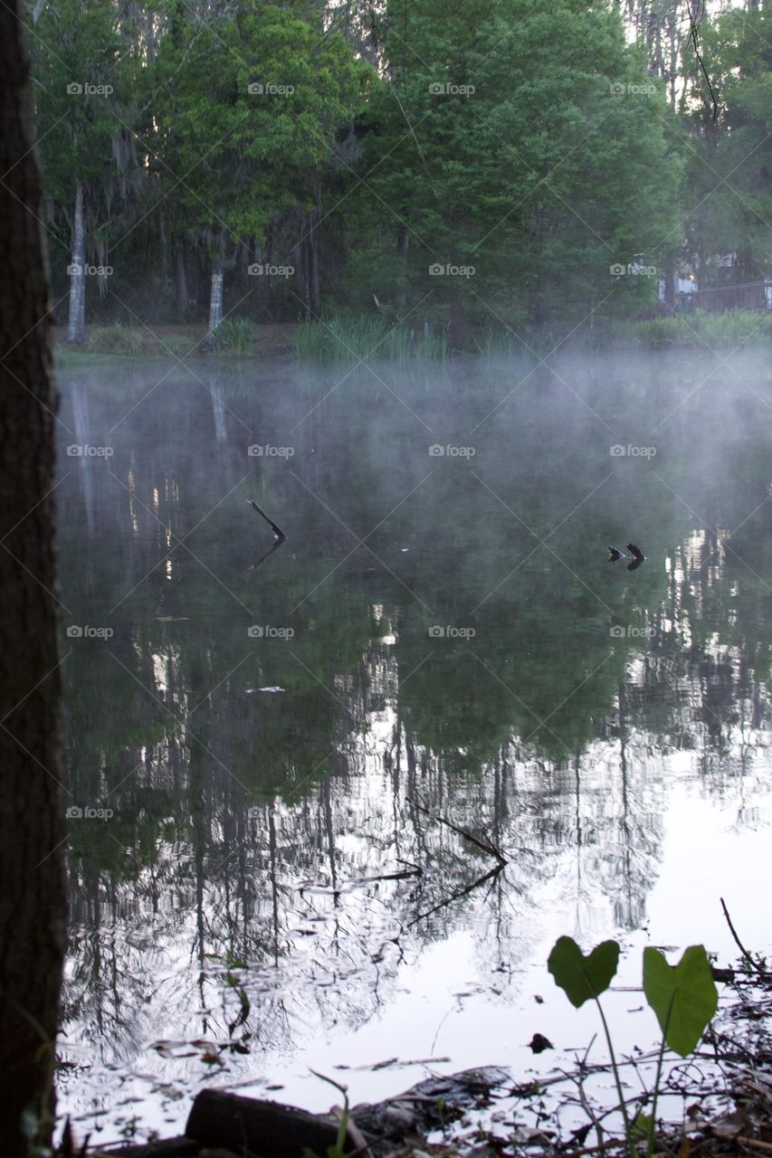 Smoke On The Water Vertical