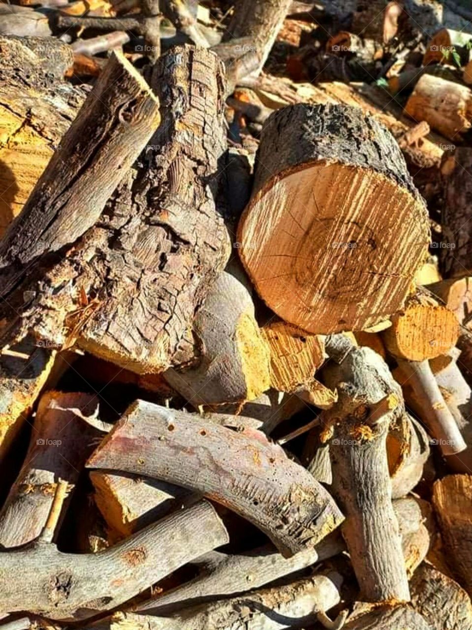 Firewood for heating