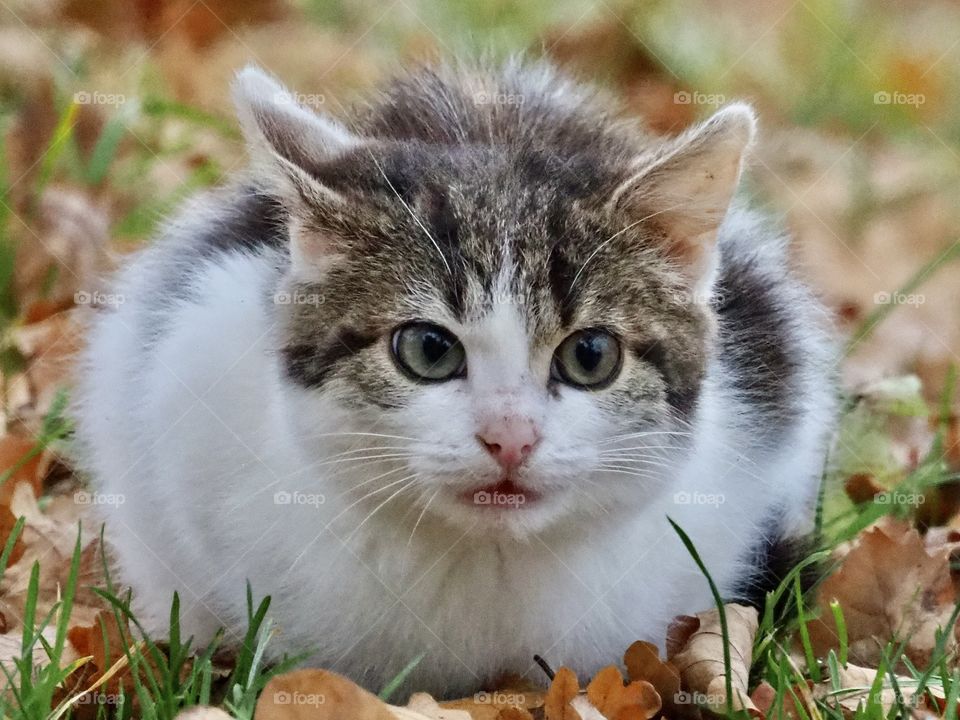 not so very comfortable in front of the camera