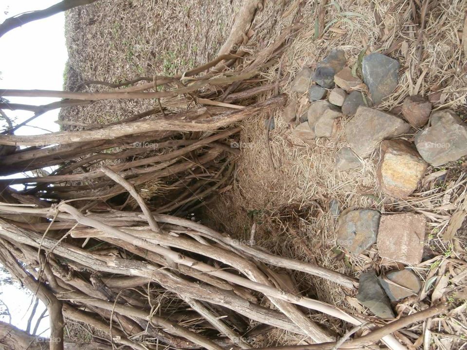 teepee. someone built this on a hiking trail