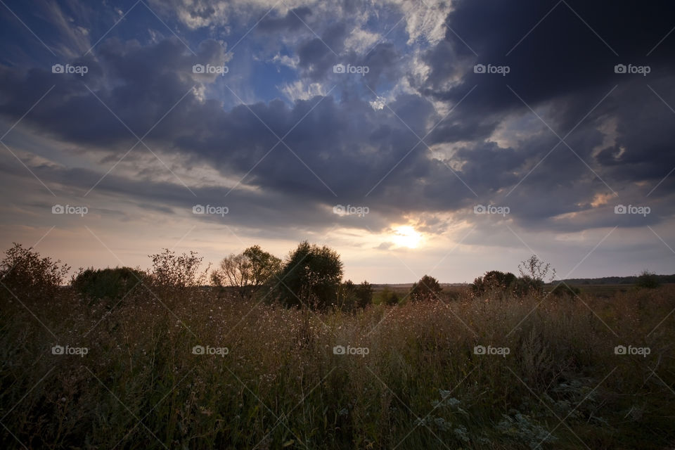 Summer landscape at cloudy day