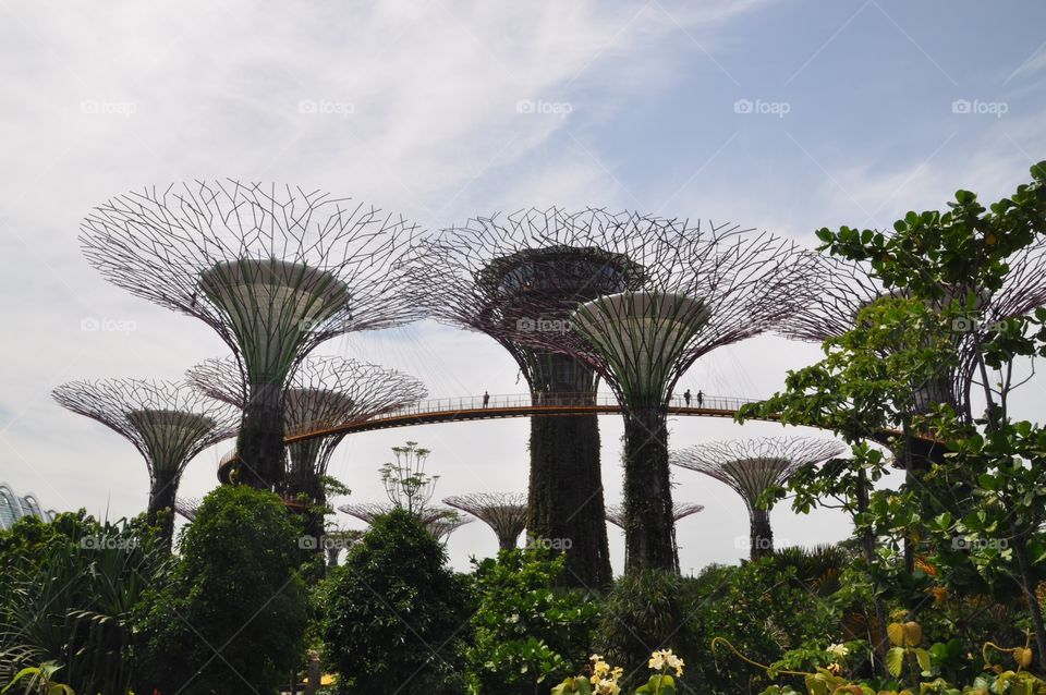 Future garden. Artificial garden in Singapure. Combination nature and technology