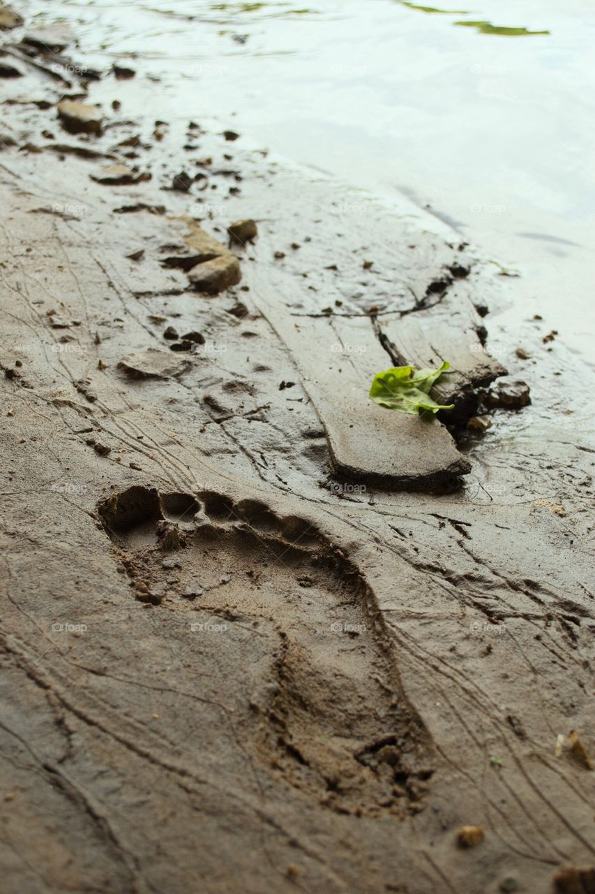 Bare footprint 