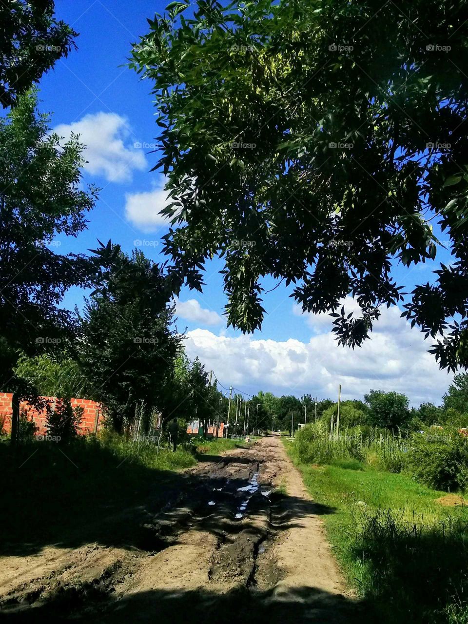 típica calle de tierra de un barrio semi rural en una apacible y calurosa tarde de verano.