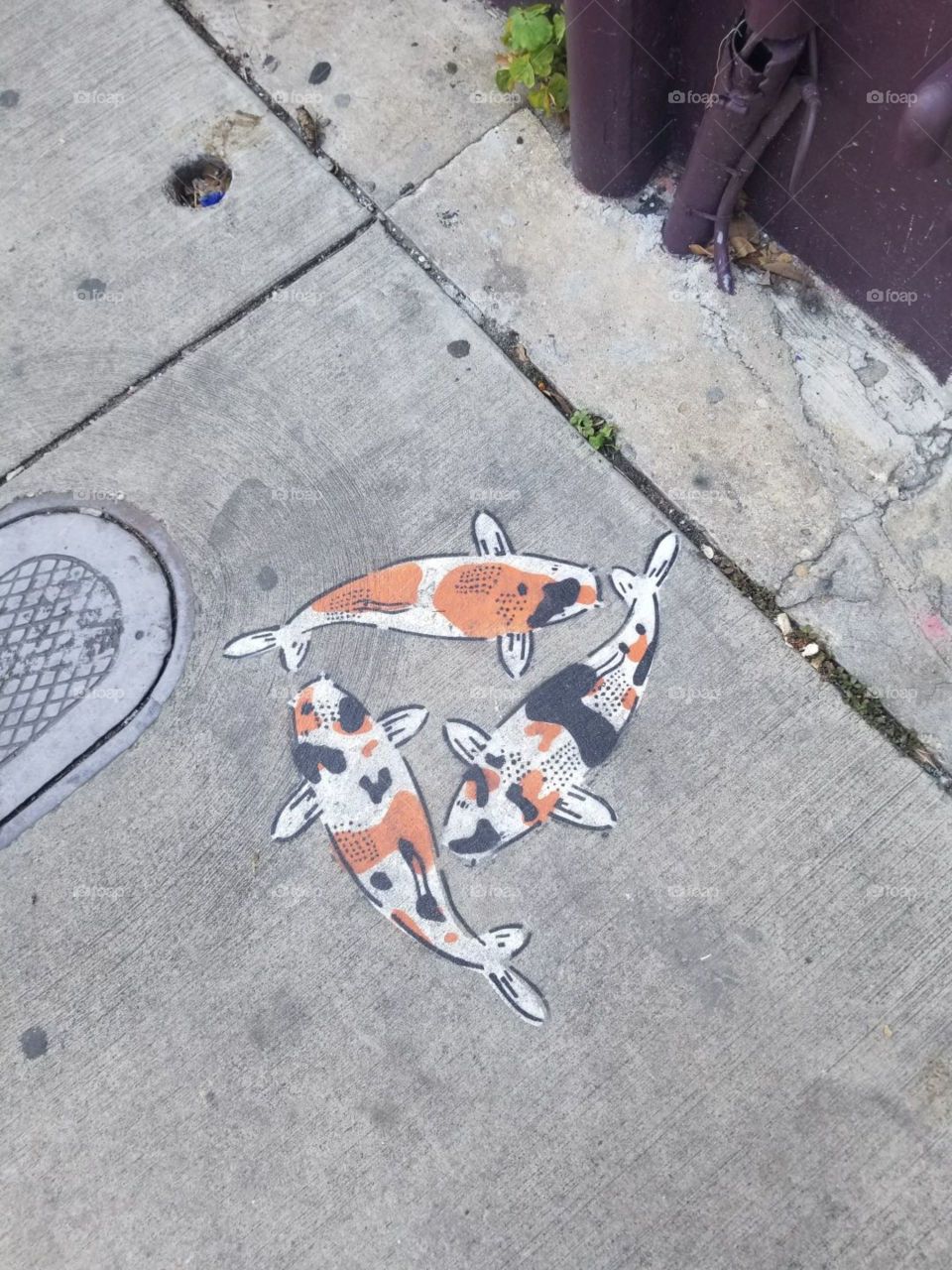 Street art design of fish