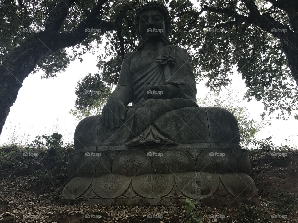 Buda
