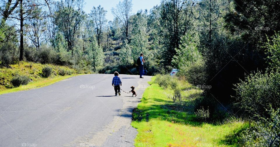 Let’s go for a walk in the country 
