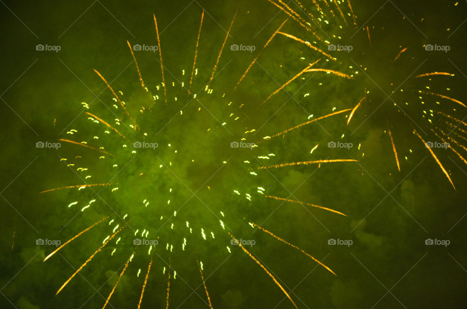 No Person, Nature, Flower, Flora, Light