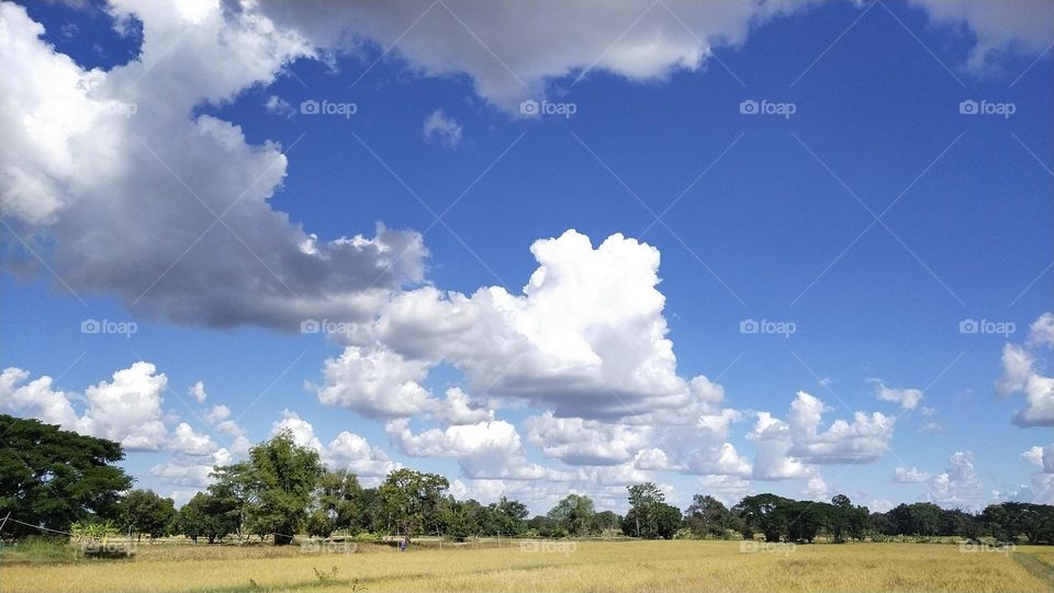 Wide field & The Sky