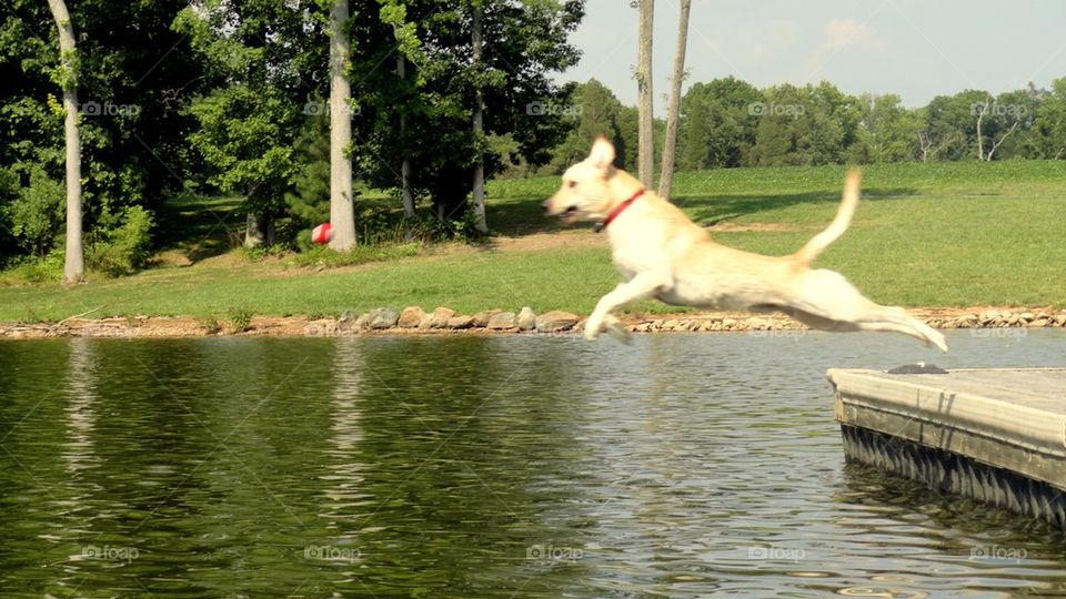 Dock Jumping with Avery