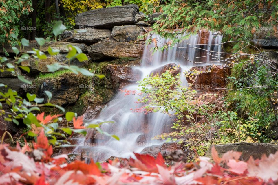 Waterfall in the forest