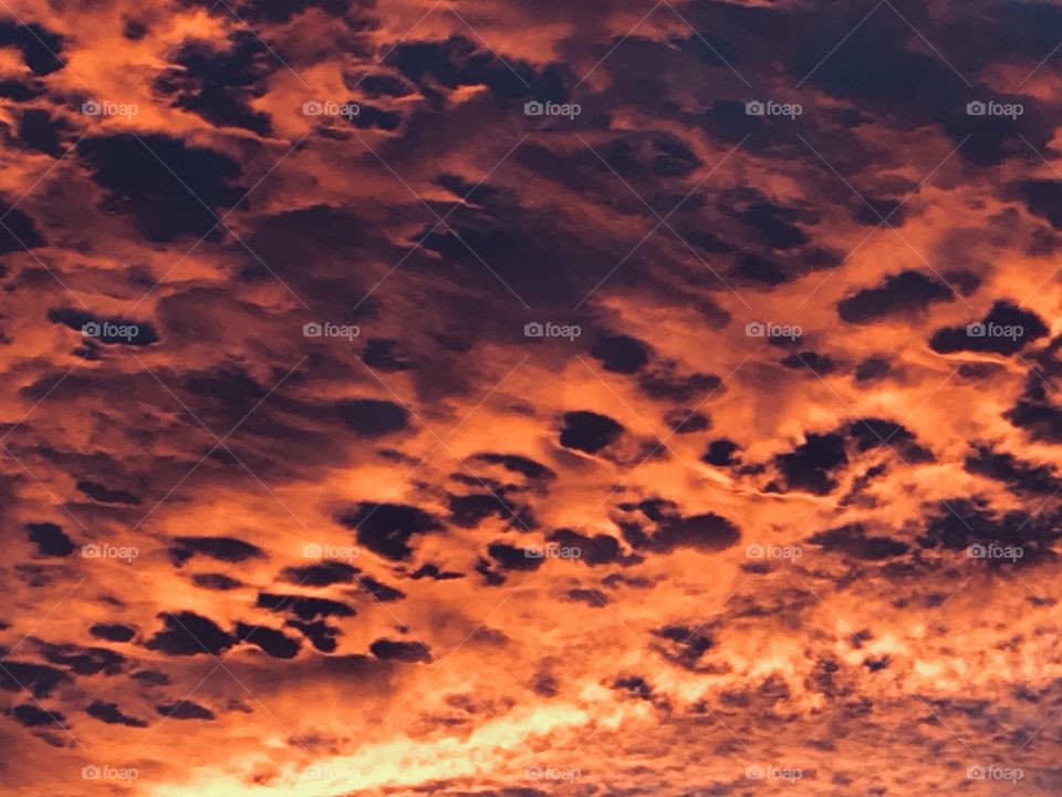 A Extremely Huge Cloud Floats Overhead Glowing with Enormous Colors with its Pours being opened by the Cooling Fall Twilight. 