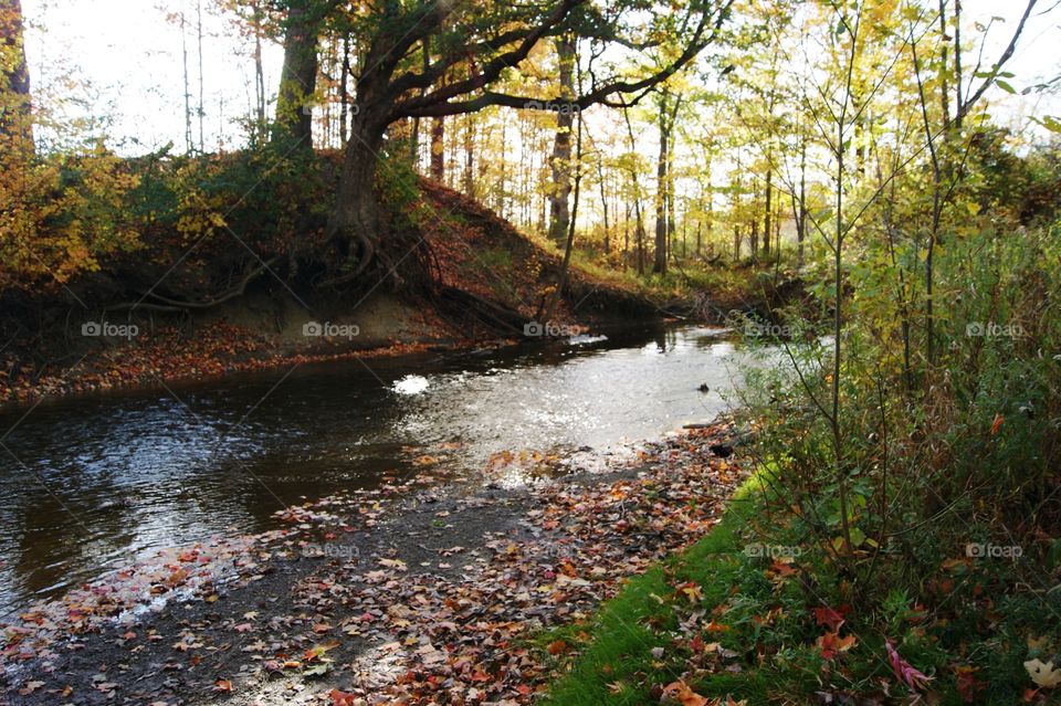 Fall in michigan 