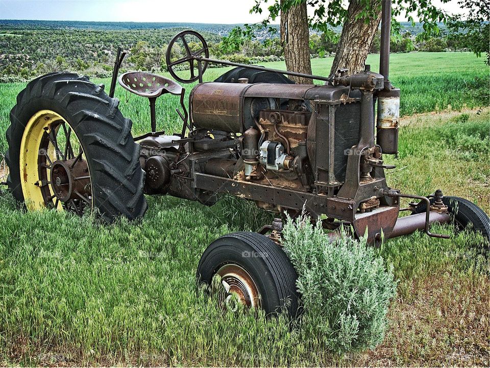Beautiful photograph of junk tractor nearby the tree.