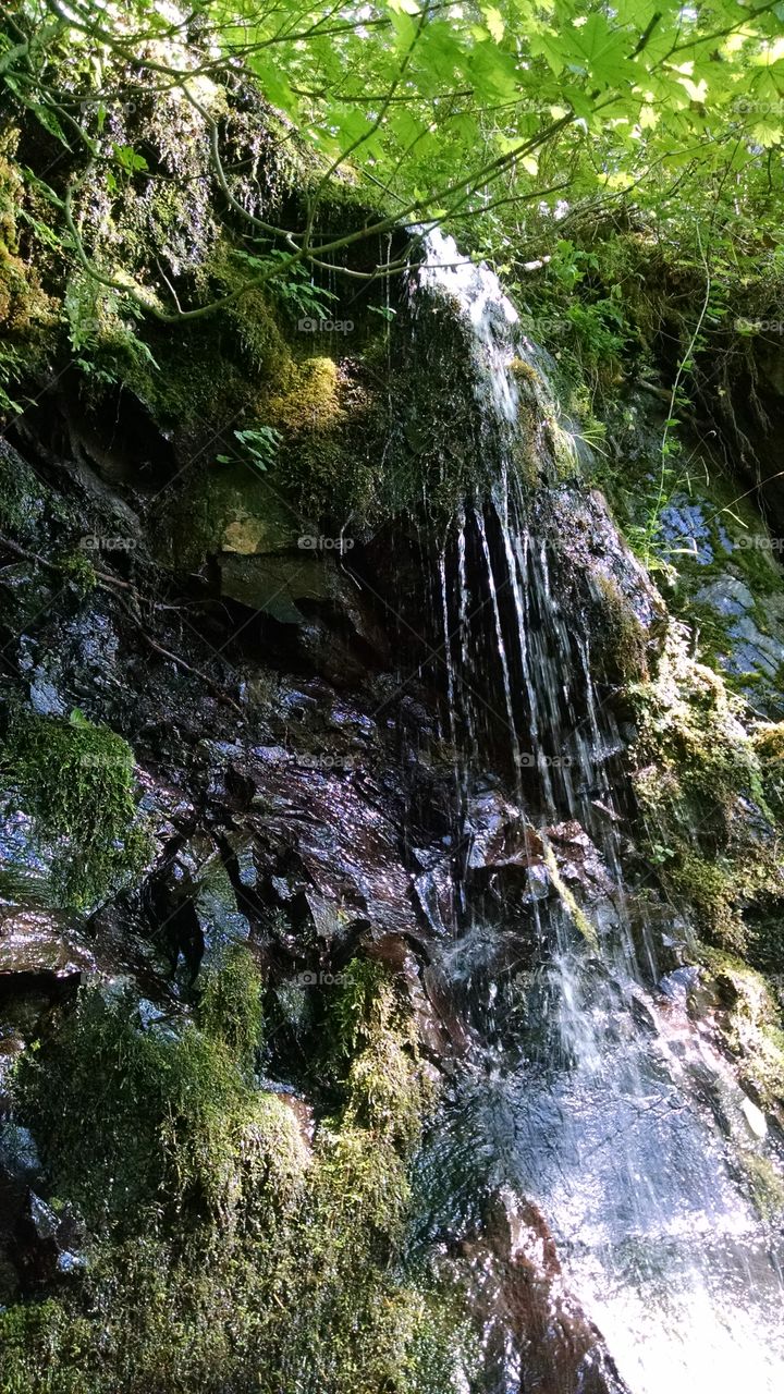 Scenics view of waterfall