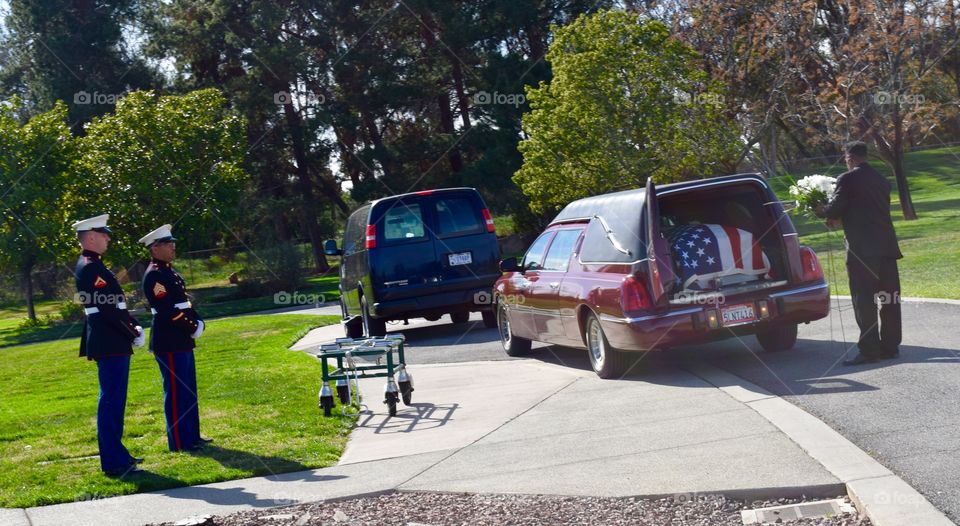 Final Rest a Tribute to Life