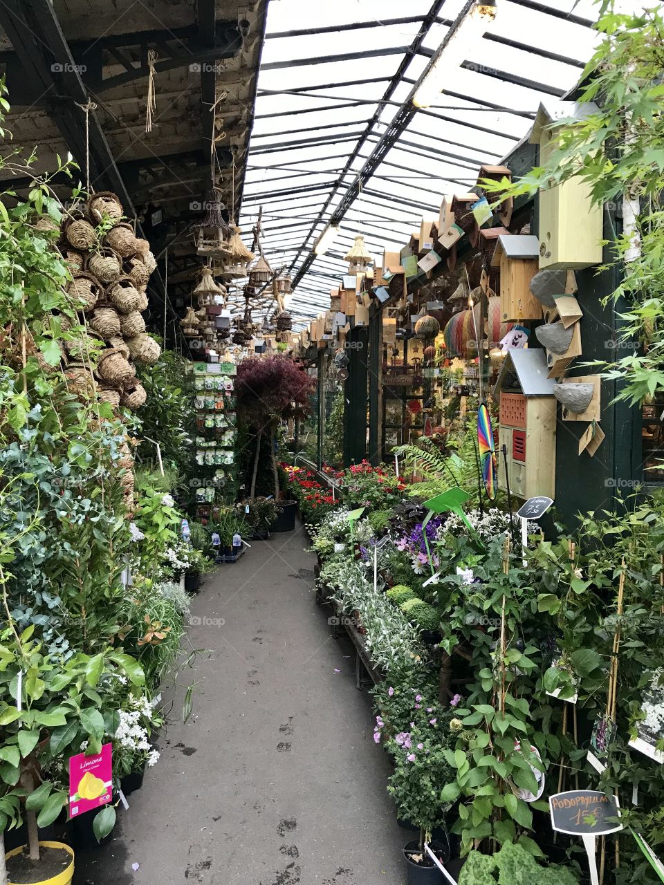 Discovering Paris. Flower market 